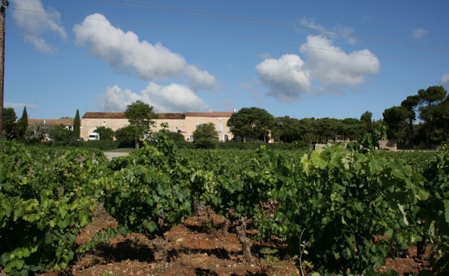 葡萄酒小测验 第十一周 - 法国南部和阿尔萨斯