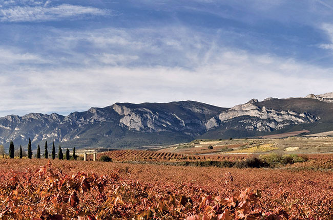Rioja single vineyard – Five key questions answered