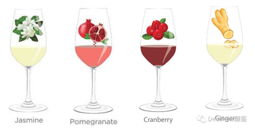 Tasting notes decoded: Jasmin, Pomegranate, Cranberry and Ginger