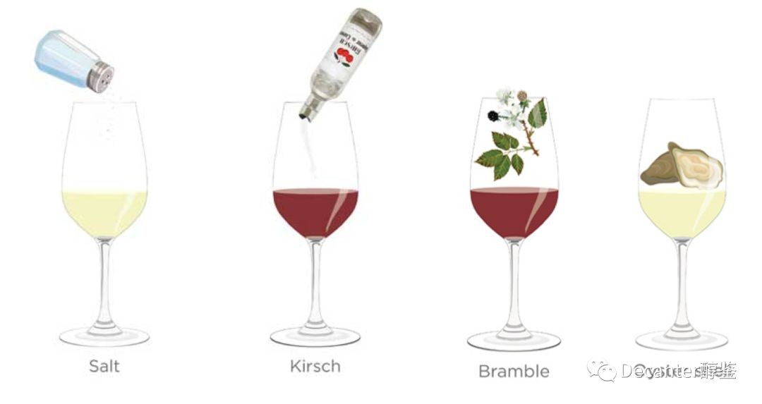 Tasting notes decoded: Salt, Kirsch, Bramble and Oyster Shell