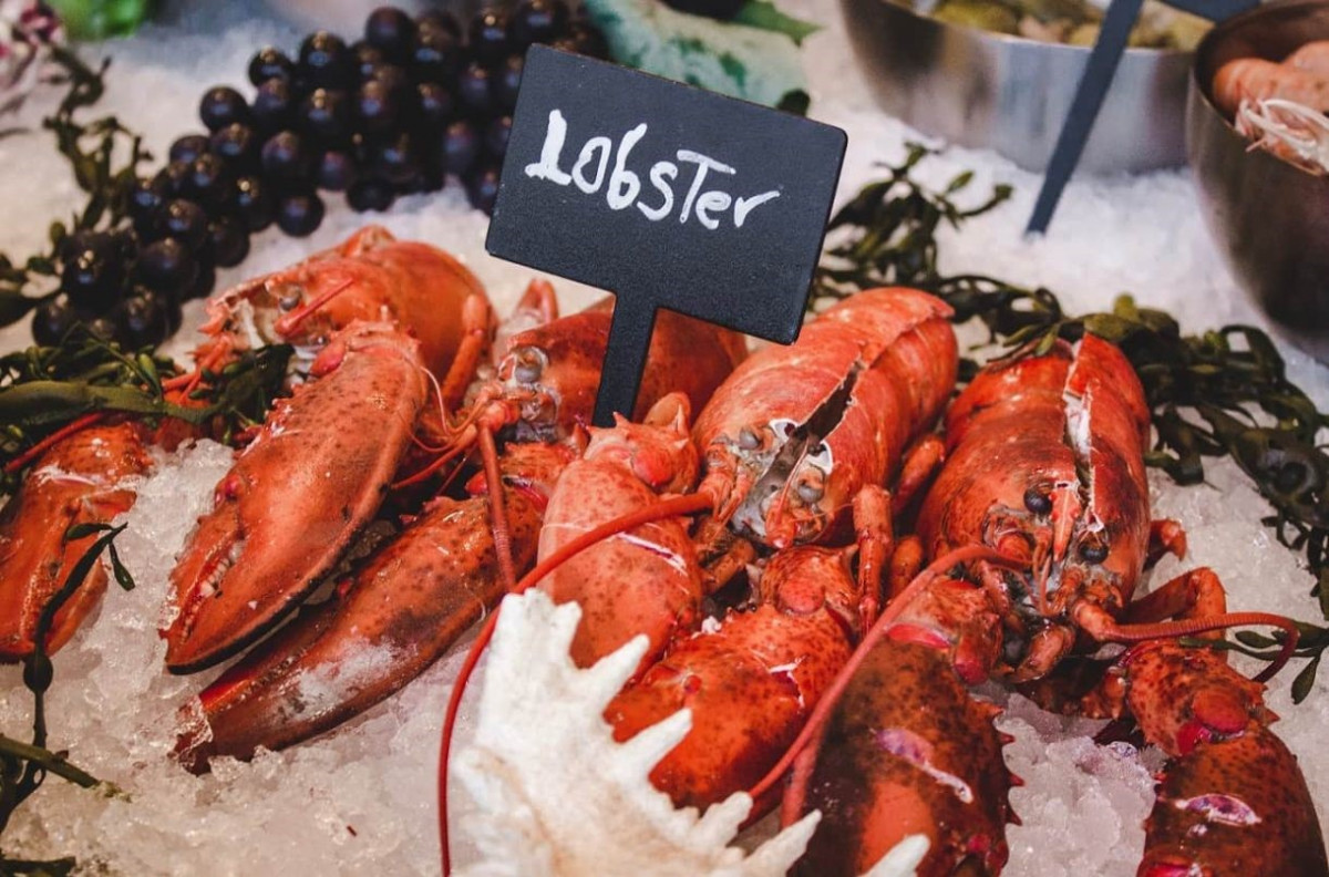 Which wines go well with lobster? - Ask Decanter