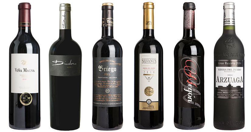 Top Ribera del Duero wines from Decanter Panel Tasting - Part I