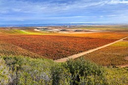 Viña Eguía: Rediscovering Rioja