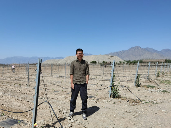 Image: Zhai Liang, the owner of Devo, stands at his newly-planted vineyards at the foothills of Helan Mountain. Credit: Sylvia Wu