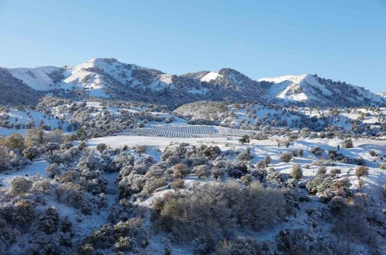 Kuerdening vineyard in winter. Silk Road Vineyards, Yili, Xinjiang