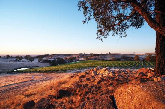 Shiraz Central, as it’s known locally is an area that covers many of Victoria’s wine regions that specialise in Shiraz wines. Credit: Robert Blackburn for Visit Victoria.