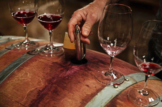 Tasting Pinot Noir from the barrel at Provenance winery in Victoria, where the variety demands its highest average price in Australia. Credit: SHERPA Projects Pty Ltd for Wine Victoria.