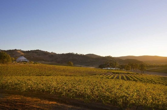 A winery in the Pyrenees in Victoria, Australia. Credit: David Hannah for Visit Victoria