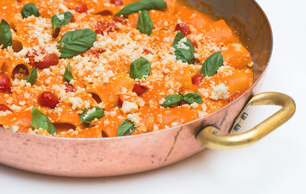 Paccheri with tomato sauce and Parmesan–recipes and wine pairings 