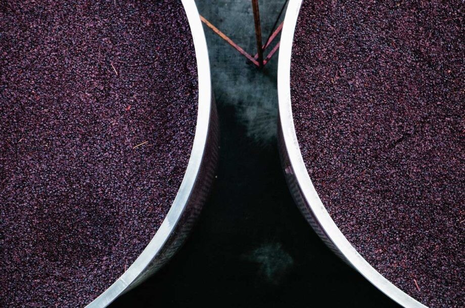 Victoria’s Pinot Noir up close