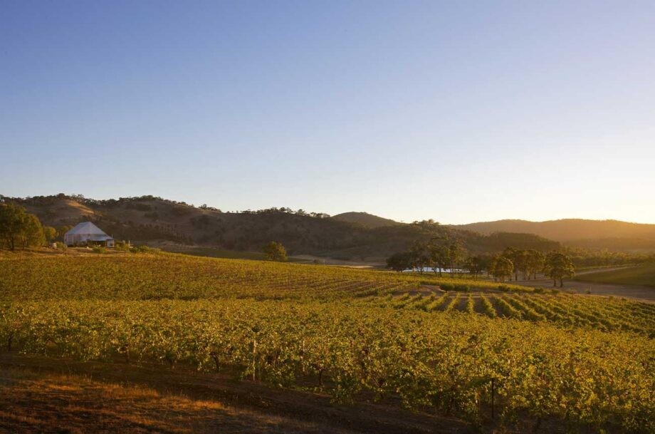 The spectrum of Shiraz in Victoria