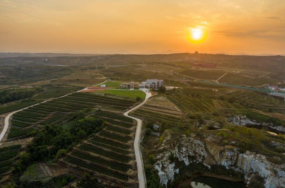 Mystic Island Winery's terraced vineyards in the Qiu Shan Valley