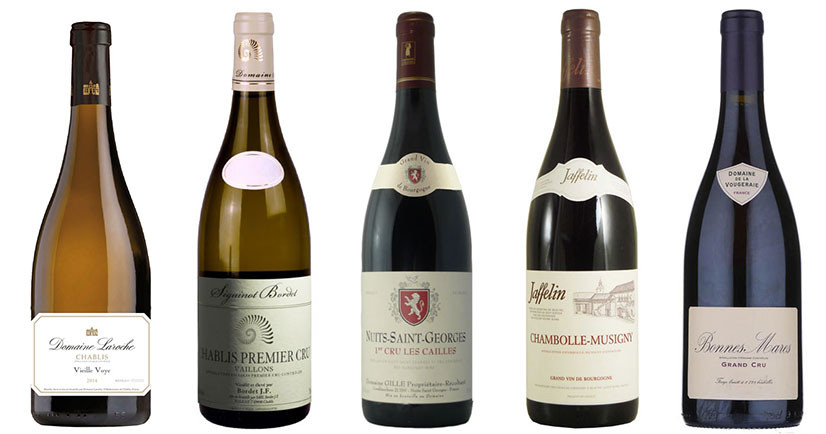 The summer Burgundy charm - 8 award-winning whites and reds