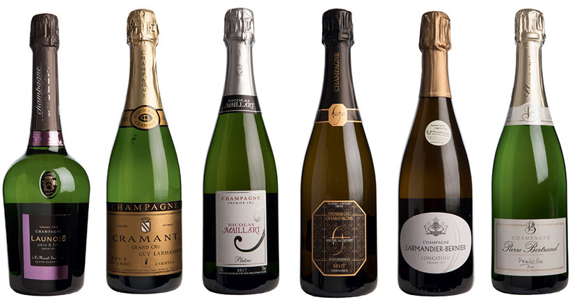 13 Grower Champagnes above 92 points – Decanter Panel Tasting